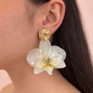 1F102E1F D10D 4338 9DBF 16325978B70C - Inicio