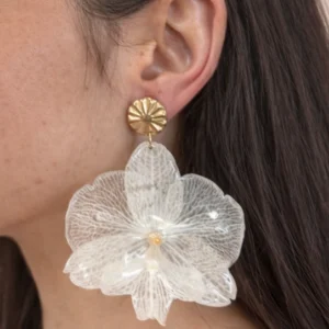 3B61632C B71A 40F0 B4F5 A6DB11D747B1 1 - Inicio